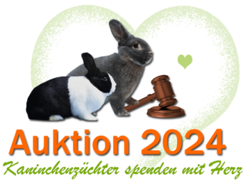 Permalink auf:Auktion 2024